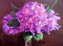 Rhododendrons