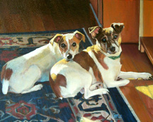2 JackRussels