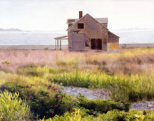 Abandoned House